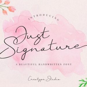 Just Signature Script