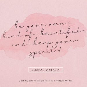 Just Signature Script