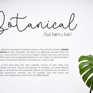 Questa Whitte Script