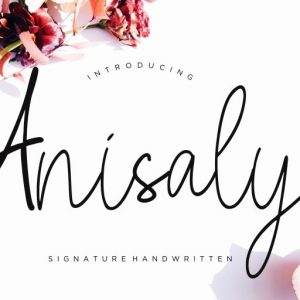Anisaly Script