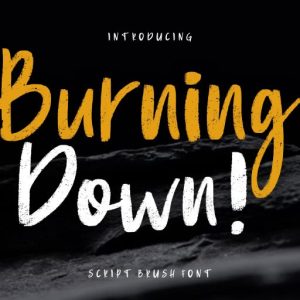Burning Down Brush
