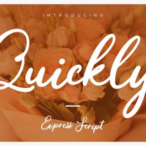 Quickly Express Script