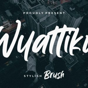 Wyattiky Stylish Brush