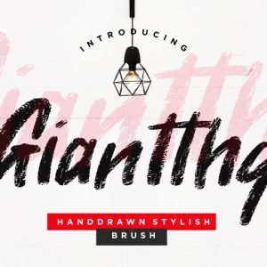 Giantthy Handdrawn Stylish Brush