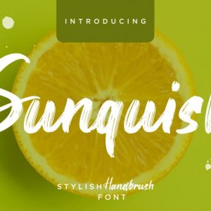 Sunquish Stylish Handbrush