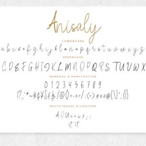 Anisaly Script
