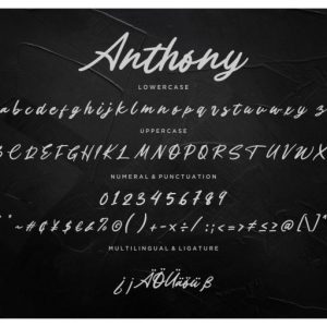 Anthony Handwritten Signature