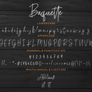 Baquette Monoline Script