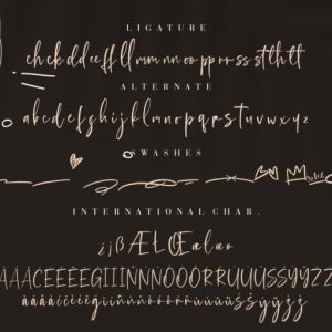 Bellagio Chic Script Typeface