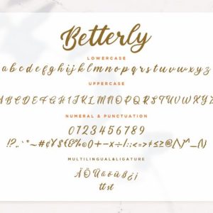 Betterly Brush Script