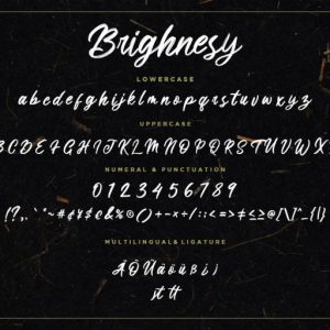Brighnesy Hand Brush