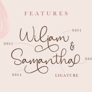 Bryan Kimberly Beautiful Typeface