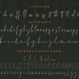 Bucherry Monoline Script