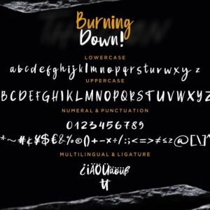 Burning Down Brush