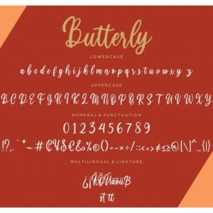 Butterly Calligraphy Script