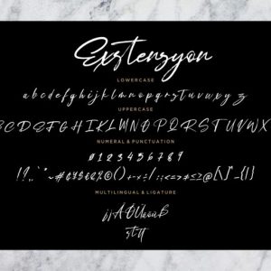 Exstensyon Brush Signature
