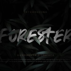 Forester Hand Brush