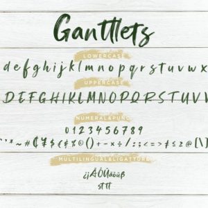 Ganttlets Brush Script