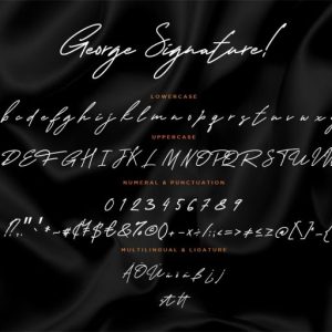 George Signature Classy