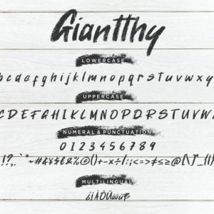 Giantthy Handdrawn Stylish Brush