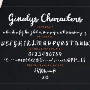 Ginalys Bold Brush