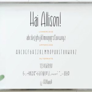 Hai Allison Fun Display
