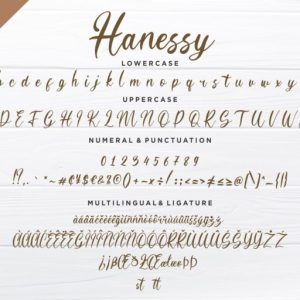 Hanessy Feminine Script