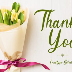 Hanessy Feminine Script