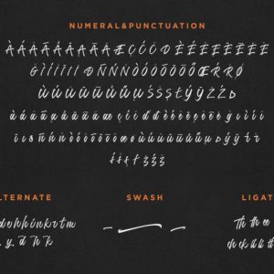 Jumps Steady Script