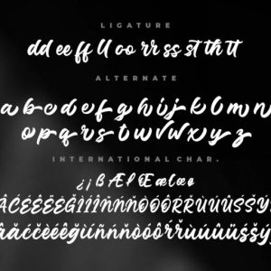 Junkies Style Bold Script