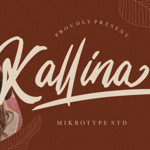 Kallina Handbrush Instagram Font
