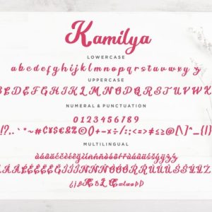 Kamilya Handwritten Script