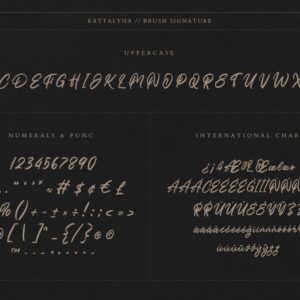 Kattalyna Brush Signature