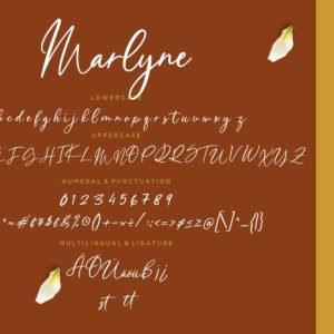 Marlyne Signature Script