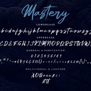 Mastery Hand Brush