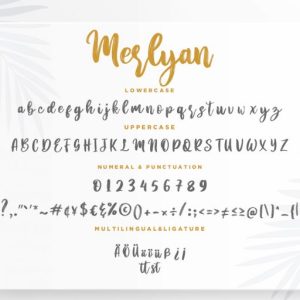 Merlyan Brush Calligraphy