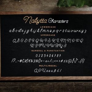 Nakytta Monoline Script