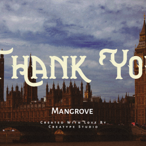 Mangrove Sans Retro