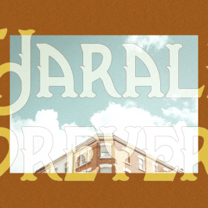 Mangrove Sans Retro
