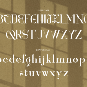 Renaisans Sans Modern Serif