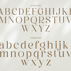 Graphire Modern Elegant Serif
