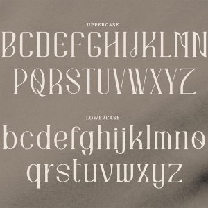 Quadrangle Stylish Serif