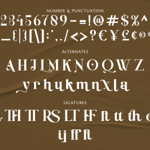 Baginks Birkin Serif