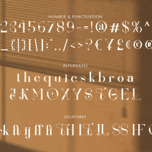 Renaisans Sans Modern Serif