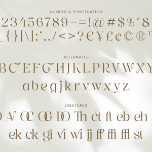 Graphire Modern Elegant Serif