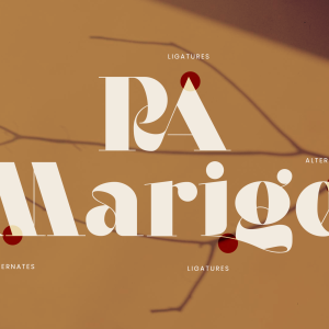 Eloora Bold Serif