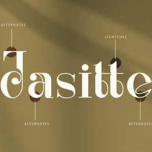 Renaisans Sans Modern Serif