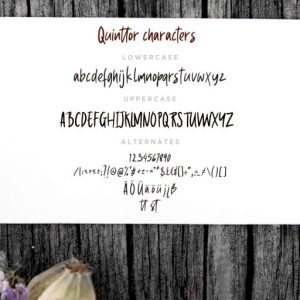 Quinttor Sans Serif