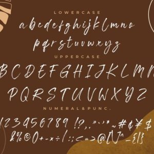 Southwell Brush Script