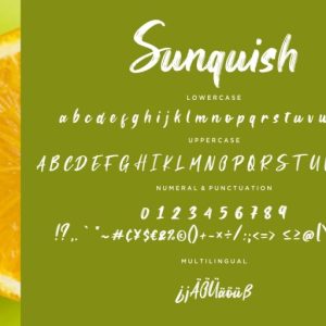 Sunquish Stylish Handbrush